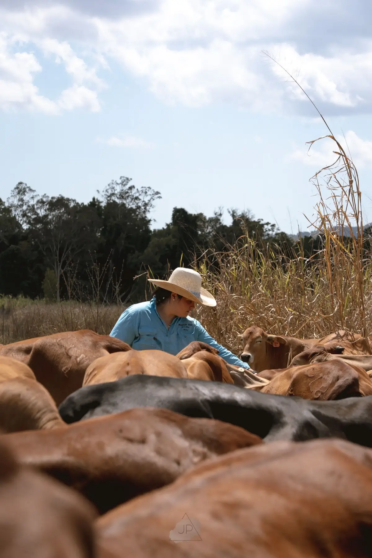 A7406723-e5cbfd3c-1500